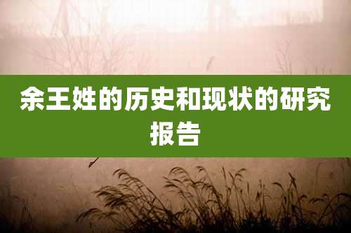 余王姓的历史和现状的研究报告