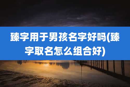 臻字用于男孩名字好吗(臻字取名怎么组合好)