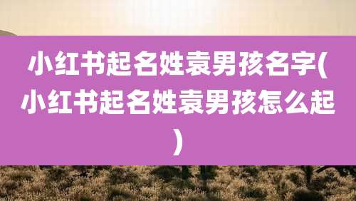 小红书起名姓袁男孩名字(小红书起名姓袁男孩怎么起)