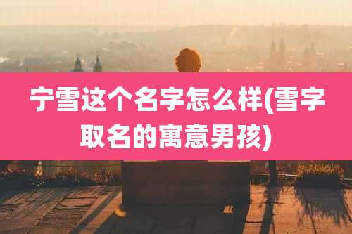 宁雪这个名字怎么样(雪字取名的寓意男孩)