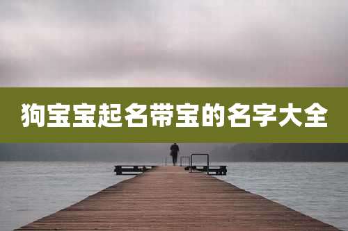 狗宝宝起名带宝的名字大全