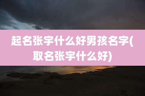 起名张宇什么好男孩名字(取名张宇什么好)
