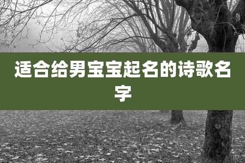 适合给男宝宝起名的诗歌名字