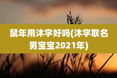 鼠年用沐字好吗(沐字取名男宝宝2021年)