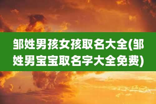 邹姓男孩女孩取名大全(邹姓男宝宝取名字大全免费)