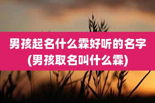 男孩起名什么霖好听的名字(男孩取名叫什么霖)