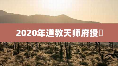 2020年道教天师府授箓