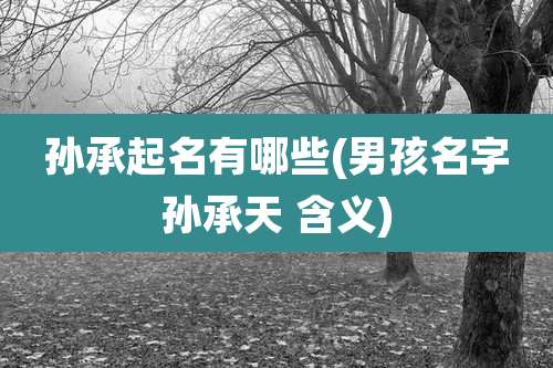 孙承起名有哪些(男孩名字孙承天 含义)