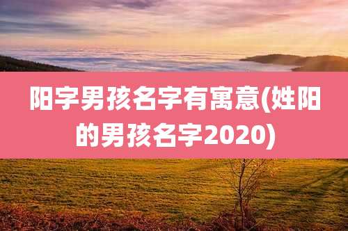 阳字男孩名字有寓意(姓阳的男孩名字2020)