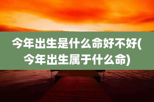 今年出生是什么命好不好(今年出生属于什么命)