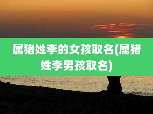 属猪姓李的女孩取名(属猪姓李男孩取名)