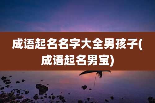 成语起名名字大全男孩子(成语起名男宝)