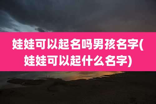 娃娃可以起名吗男孩名字(娃娃可以起什么名字)