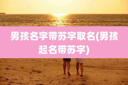 男孩名字带苏字取名(男孩起名带苏字)