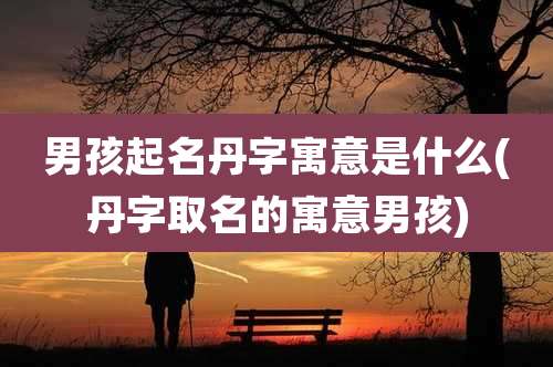 男孩起名丹字寓意是什么(丹字取名的寓意男孩)