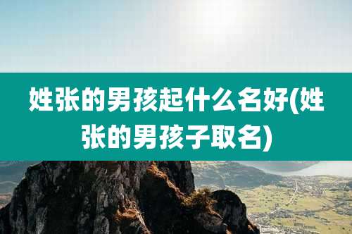 姓张的男孩起什么名好(姓张的男孩子取名)