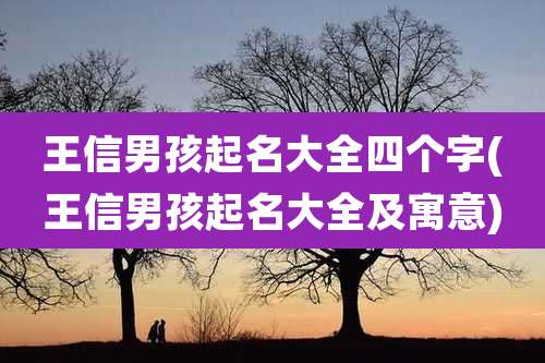 王信男孩起名大全四个字(王信男孩起名大全及寓意)