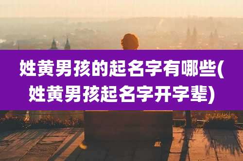 姓黄男孩的起名字有哪些(姓黄男孩起名字开字辈)