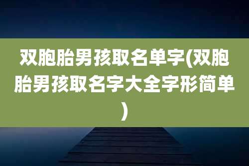 双胞胎男孩取名单字(双胞胎男孩取名字大全字形简单)