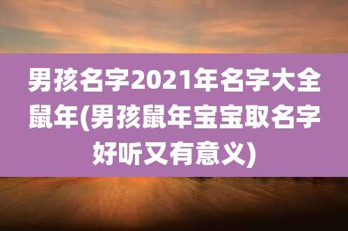 男孩名字2021年名字大全鼠年(男孩鼠年宝宝取名字好听又有意义)