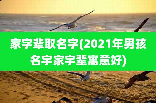 家字辈取名字(2021年男孩名字家字辈寓意好)