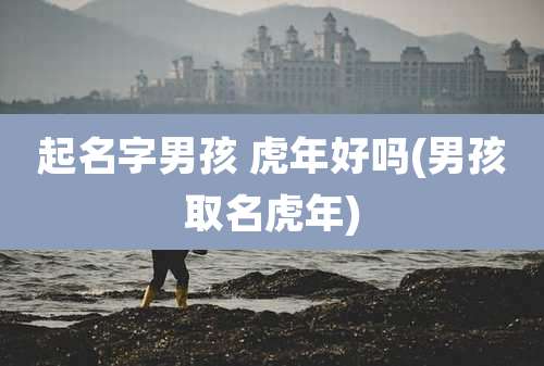 起名字男孩 虎年好吗(男孩取名虎年)
