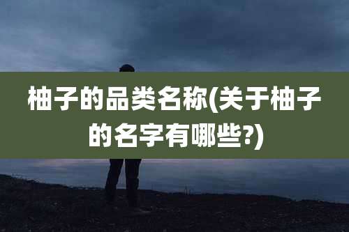 柚子的品类名称(关于柚子的名字有哪些?)
