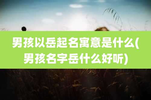 男孩以岳起名寓意是什么(男孩名字岳什么好听)