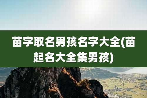 苗字取名男孩名字大全(苗起名大全集男孩)