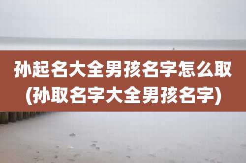 孙起名大全男孩名字怎么取(孙取名字大全男孩名字)