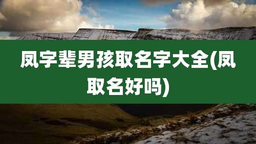 凤字辈男孩取名字大全(凤取名好吗)