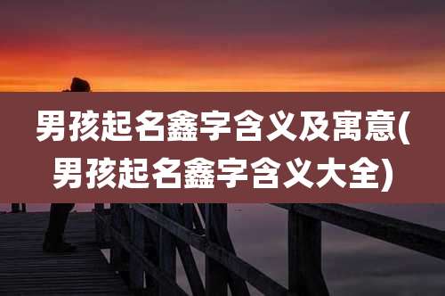 男孩起名鑫字含义及寓意(男孩起名鑫字含义大全)
