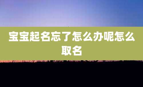 宝宝起名忘了怎么办呢怎么取名
