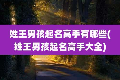 姓王男孩起名高手有哪些(姓王男孩起名高手大全)