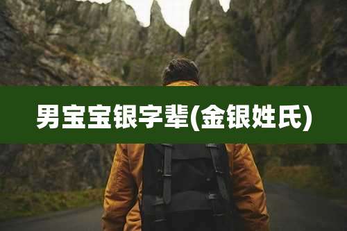 男宝宝银字辈(金银姓氏)