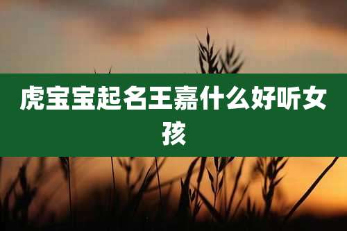 虎宝宝起名王嘉什么好听女孩
