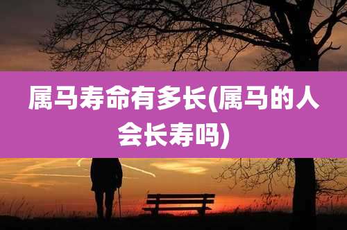 属马寿命有多长(属马的人会长寿吗)