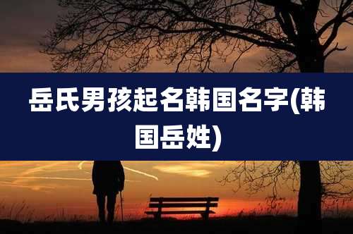 岳氏男孩起名韩国名字(韩国岳姓)