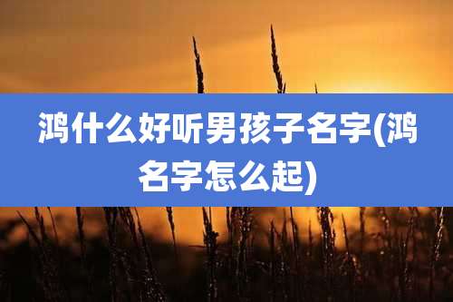 鸿什么好听男孩子名字(鸿名字怎么起)