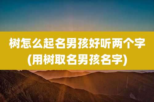 树怎么起名男孩好听两个字(用树取名男孩名字)