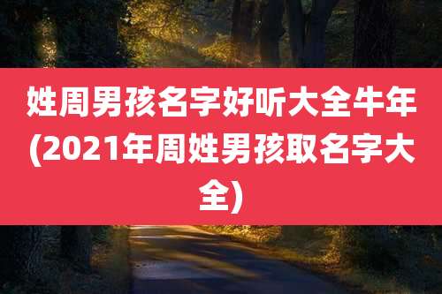 姓周男孩名字好听大全牛年(2021年周姓男孩取名字大全)