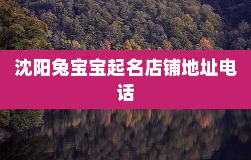 沈阳兔宝宝起名店铺地址电话