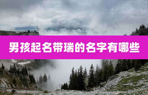 男孩起名带瑞的名字有哪些