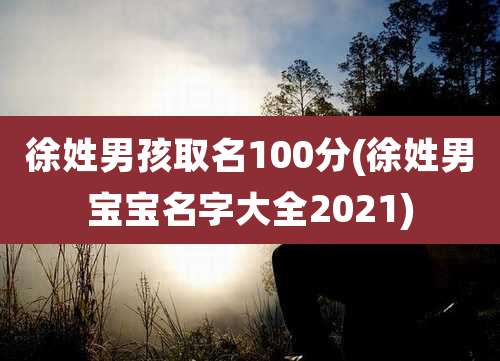 徐姓男孩取名100分(徐姓男宝宝名字大全2021)