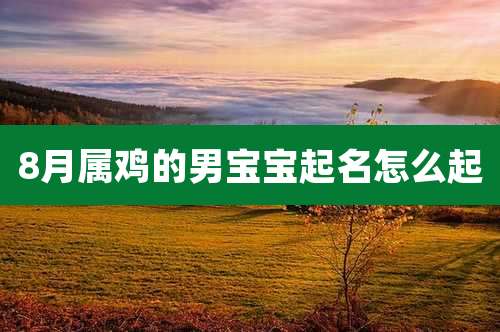 8月属鸡的男宝宝起名怎么起