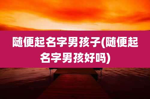 随便起名字男孩子(随便起名字男孩好吗)