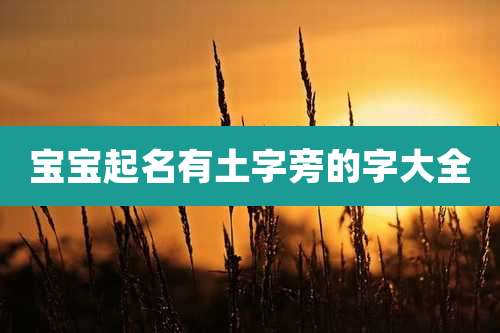 宝宝起名有土字旁的字大全