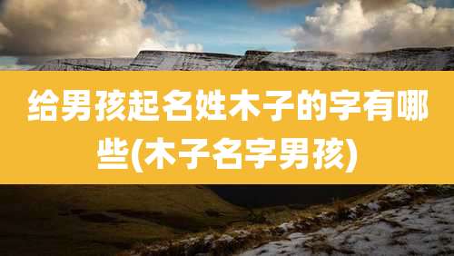给男孩起名姓木子的字有哪些(木子名字男孩)