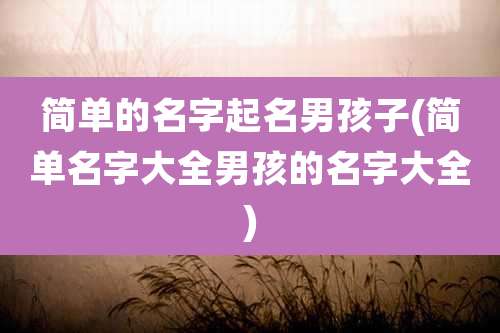 简单的名字起名男孩子(简单名字大全男孩的名字大全)