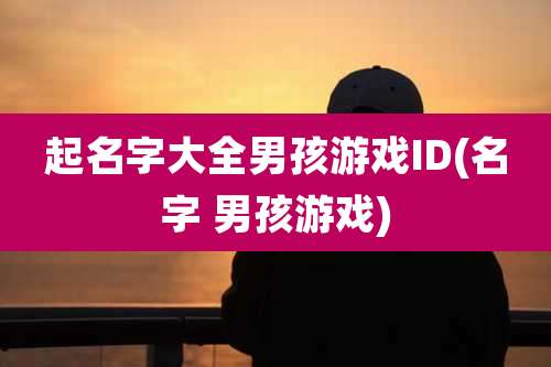 起名字大全男孩游戏ID(名字 男孩游戏)